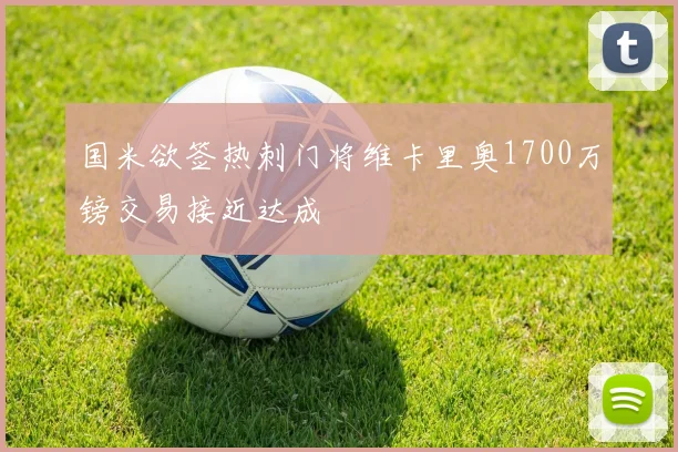 国米欲签热刺门将维卡里奥1700万镑交易接近达成