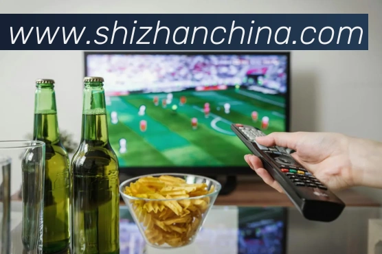 数据分析功能